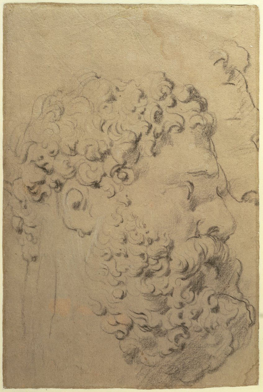 Studier af hovedet og profilen af Farnese Hercules af Glycon, verso, 1606-08 (sort-hvidt kridt på papir) af Peter Paul Rubens