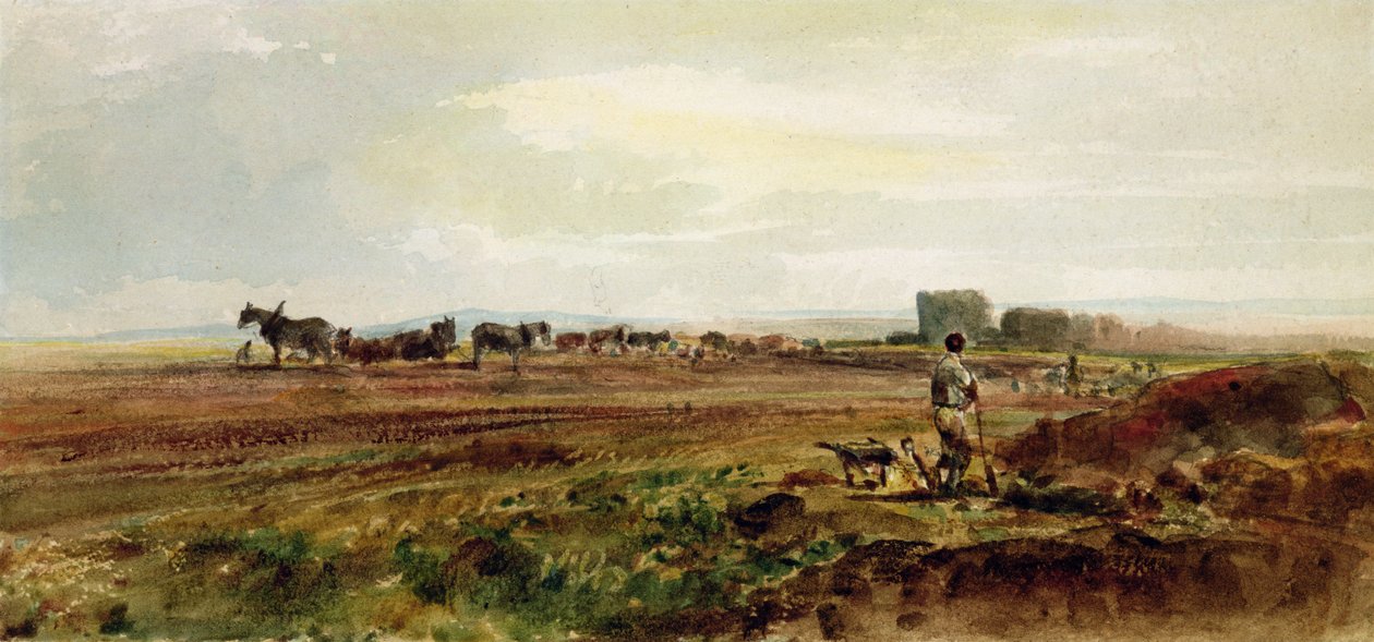 Ploughing the Heathland, Lincolnshire (wc på papir) af Peter de Wint