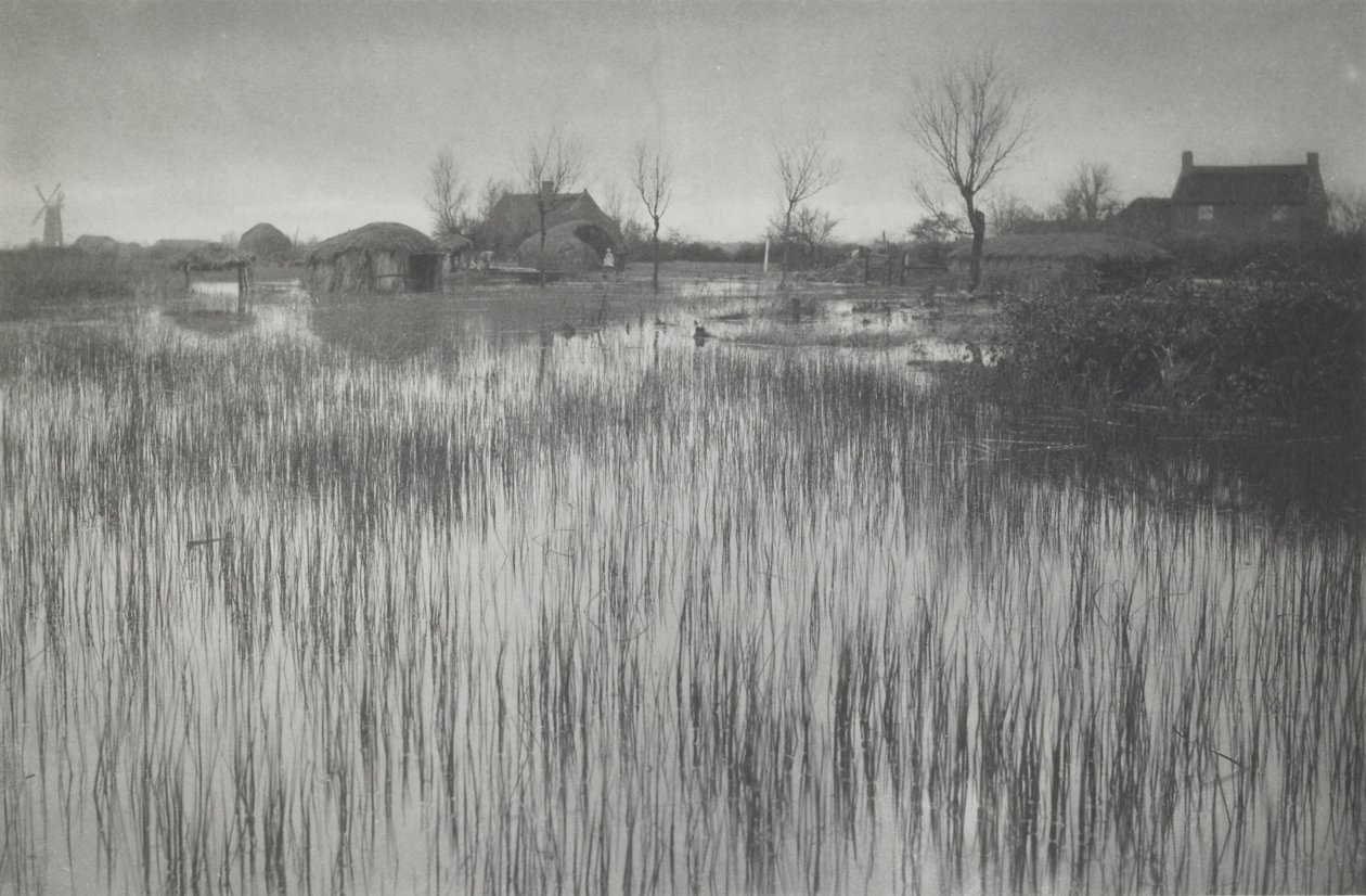 En forhastet kyst af Peter Henry Emerson