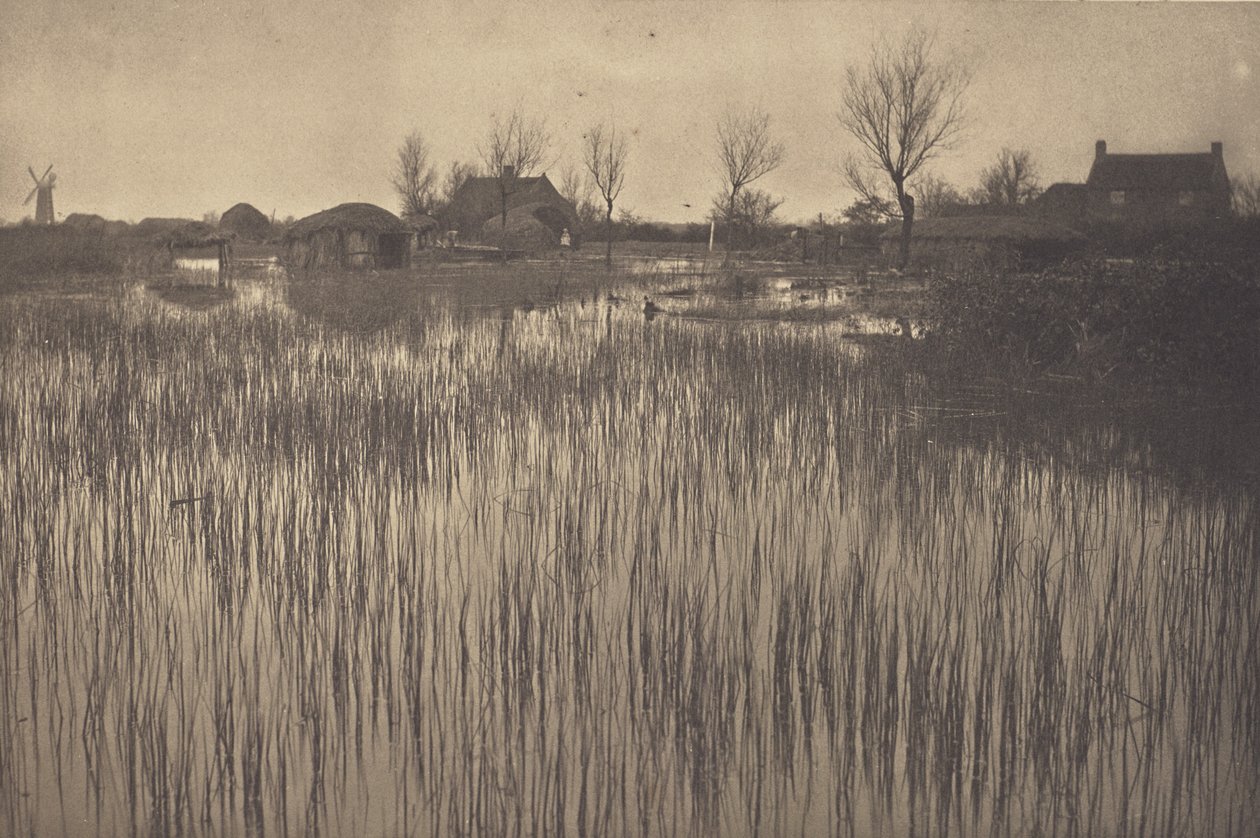 En ruskete kyst af Peter Henry Emerson