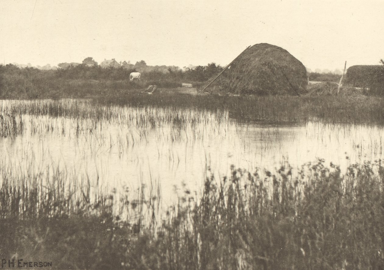 Efterårets oversvømmelser af Peter Henry Emerson