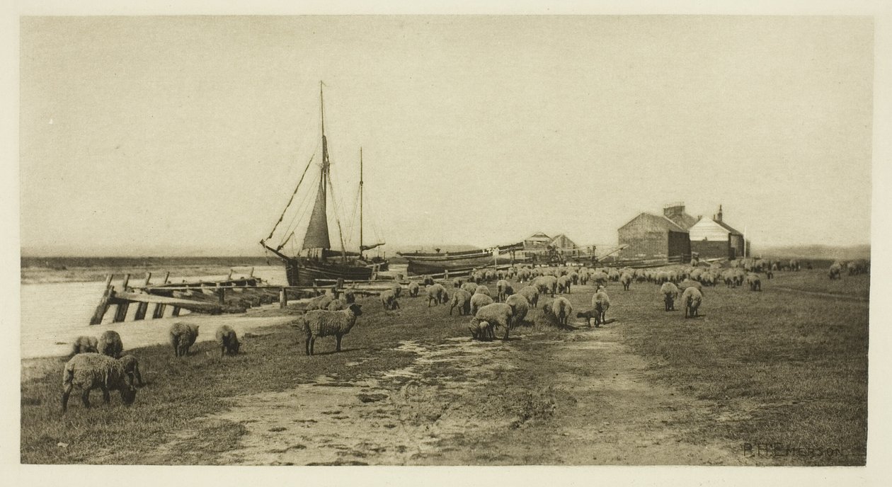 Blackshore, River Blythe (Suffolk) af Peter Henry Emerson