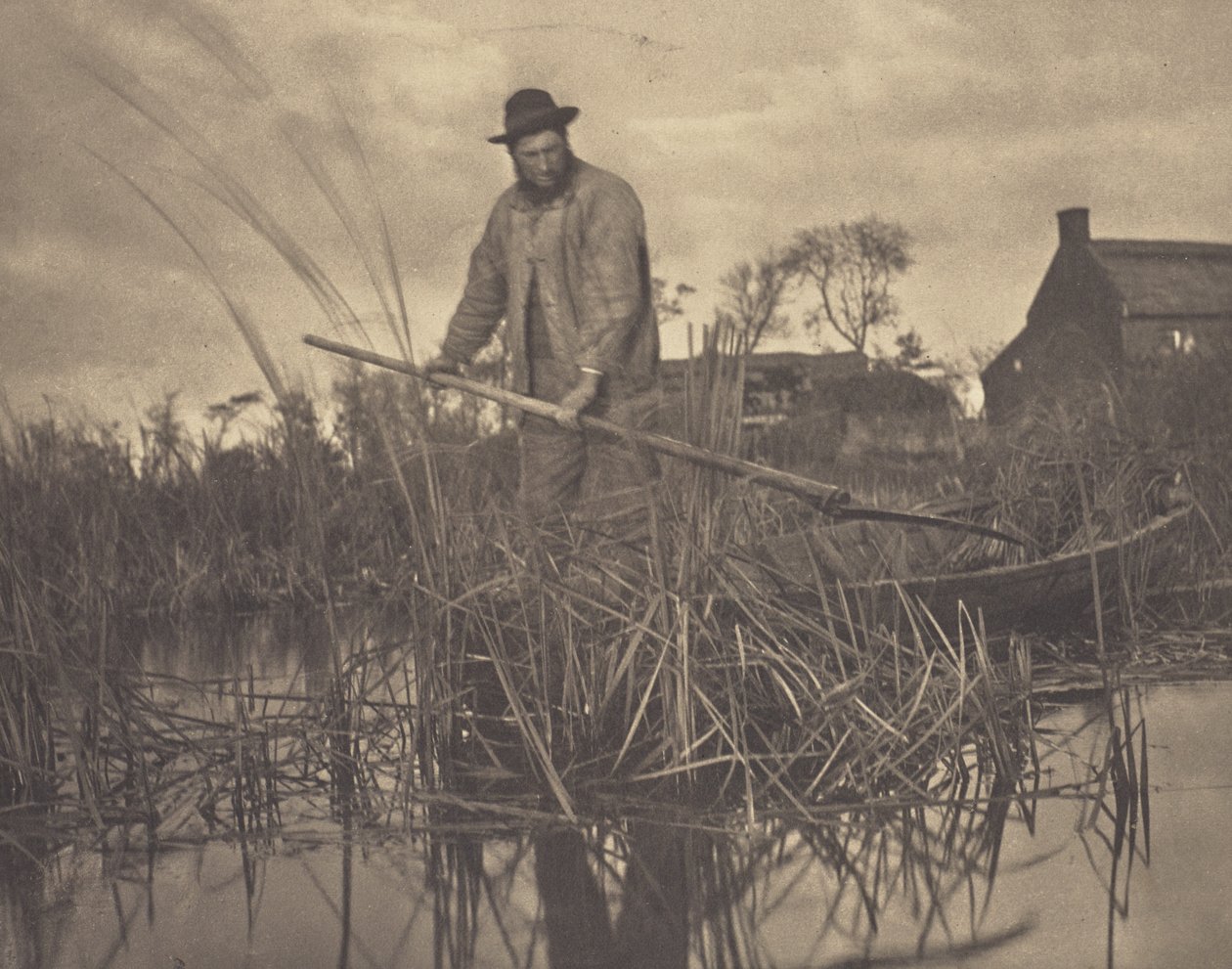 Skæring af Gladdon af Peter Henry Emerson