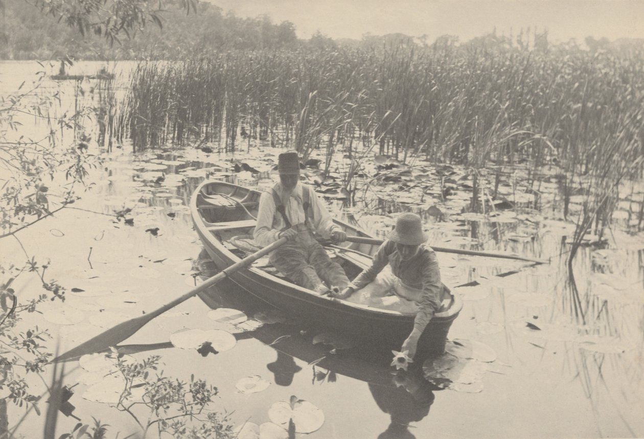 Indsamling af åkander af Peter Henry Emerson