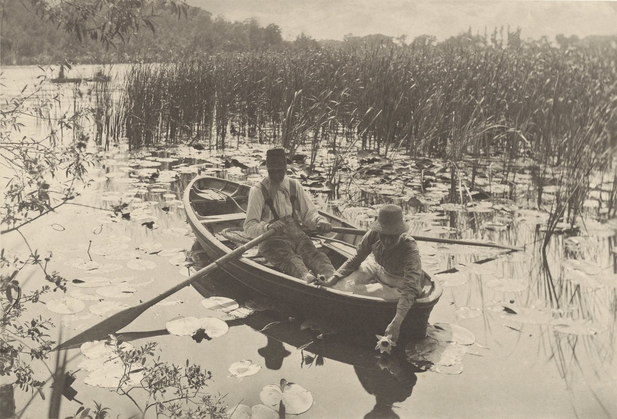 Indsamling af åkander af Peter Henry Emerson