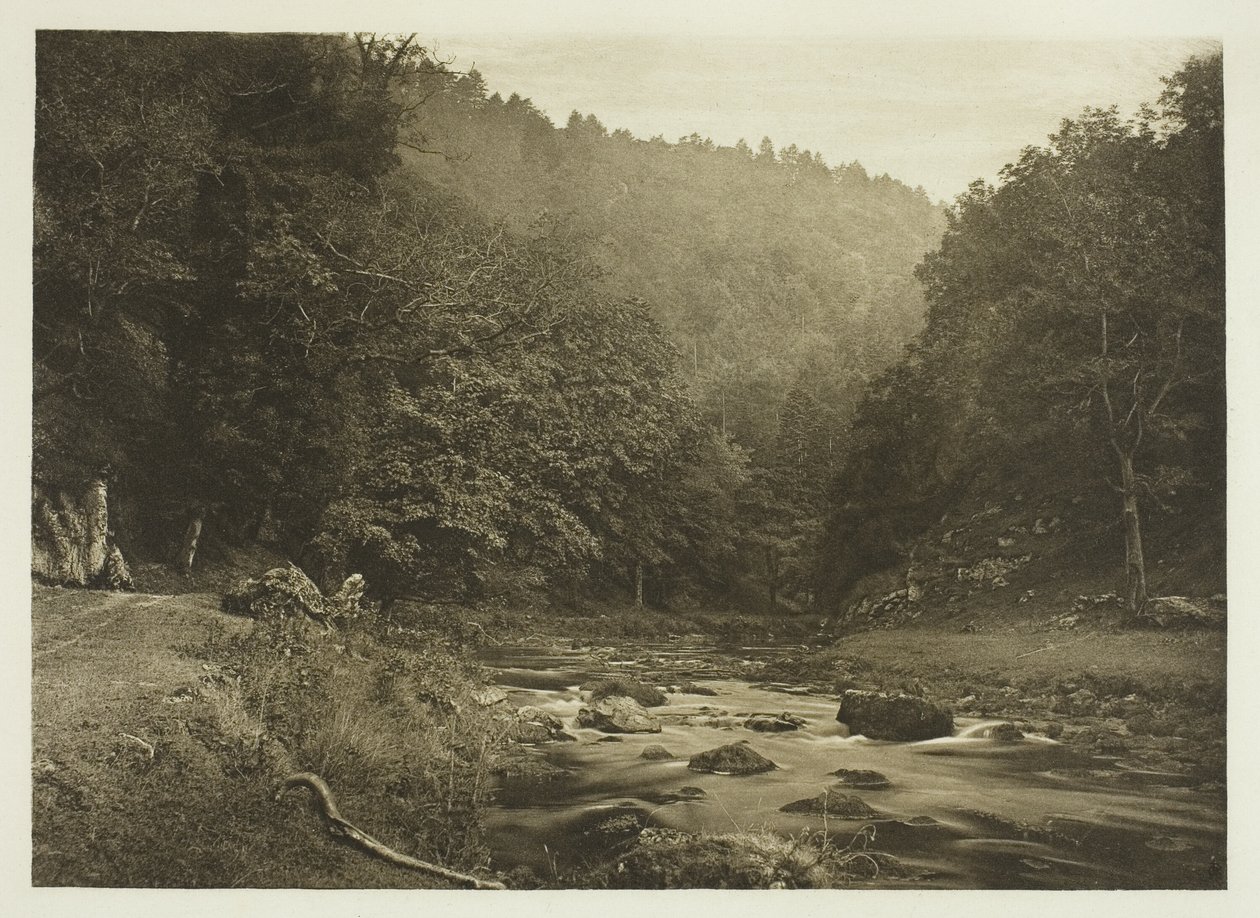 I Dove Dale (Staffordshire-siden) af Peter Henry Emerson