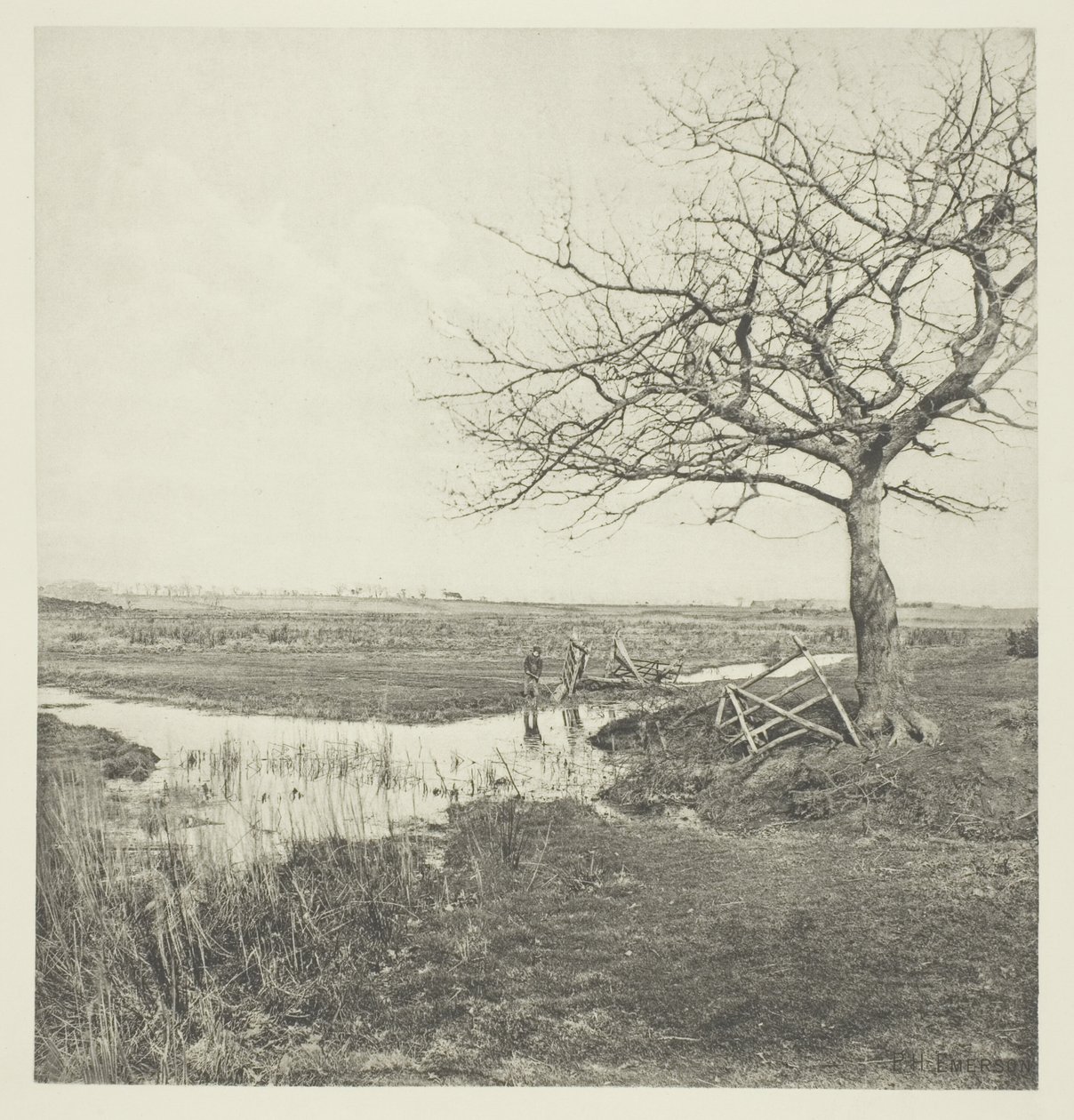 Leafless March (Suffolk) af Peter Henry Emerson