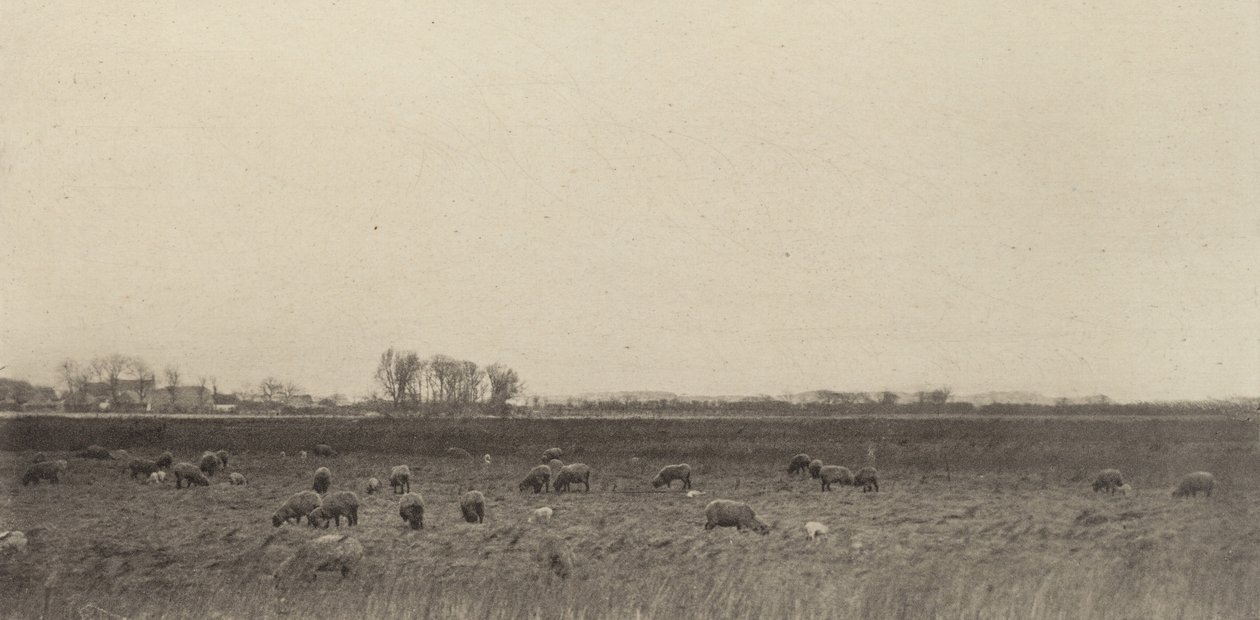 Marsk ved Vesterhavet af Peter Henry Emerson