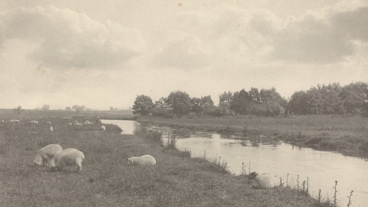 Ved floden Bure, 1886. af Peter Henry Emerson