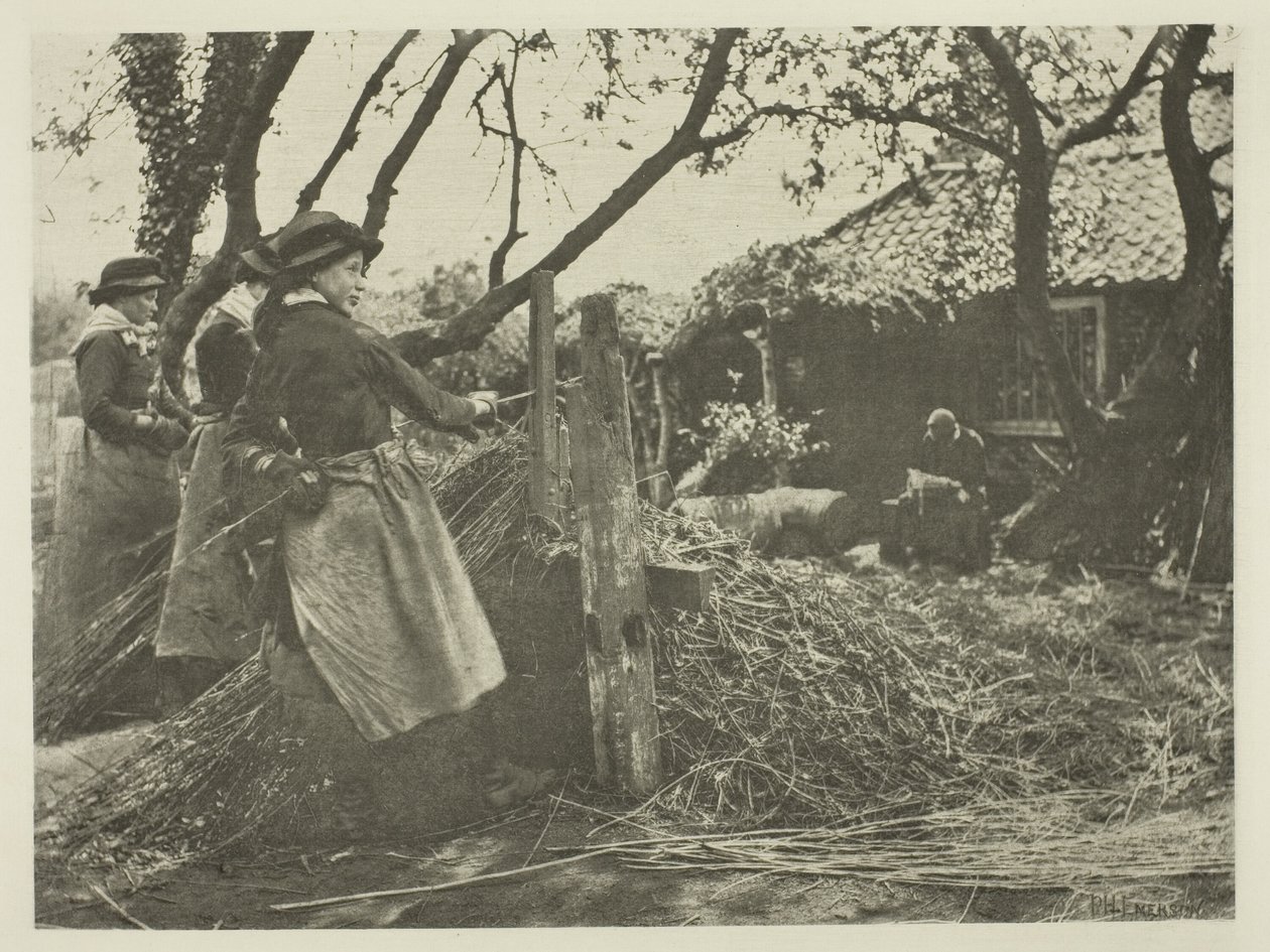 Osier-Peeling (Norfolk) af Peter Henry Emerson