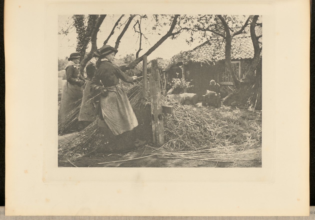 OsierPeeling. [Norfolk]]. af Peter Henry Emerson