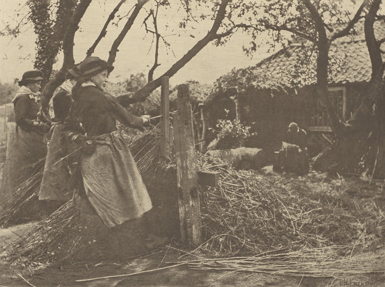 OsierPeeling. [Norfolk]]. af Peter Henry Emerson