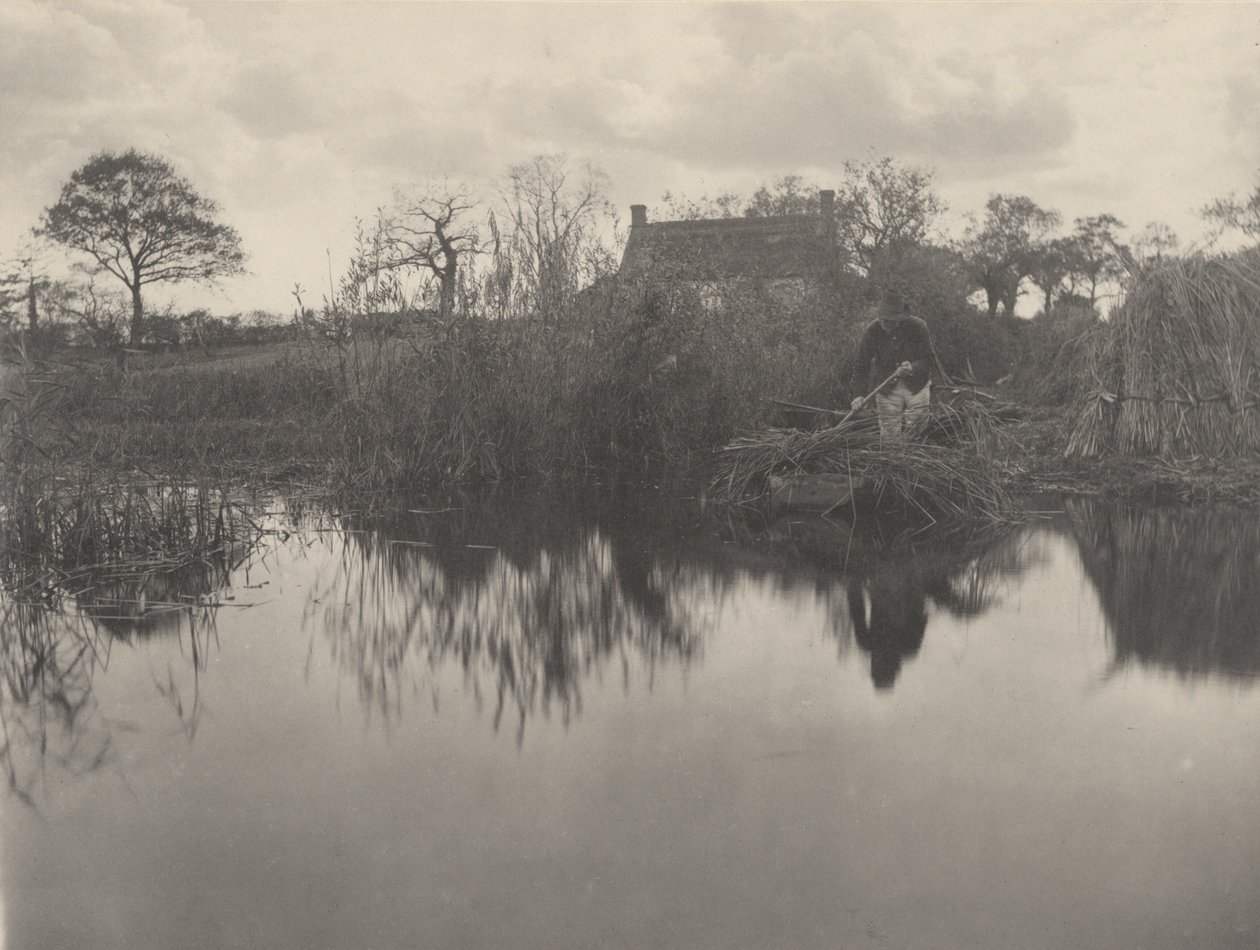 Quanting the Gladdon,1886 (foto) af Peter Henry Emerson