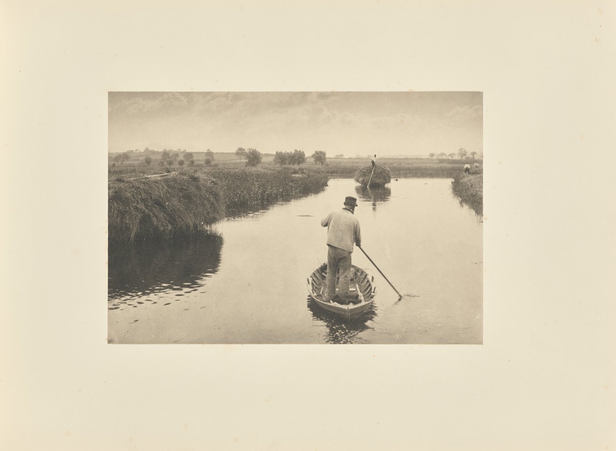 Kvantificering af marskens hø af Peter Henry Emerson