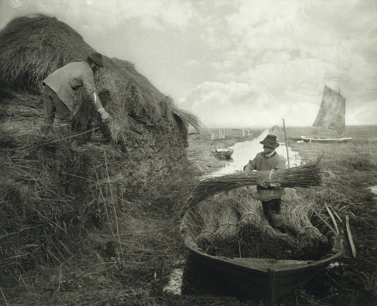 Ricking the Reed, ca. 1885 (platintryk) af Peter Henry Emerson