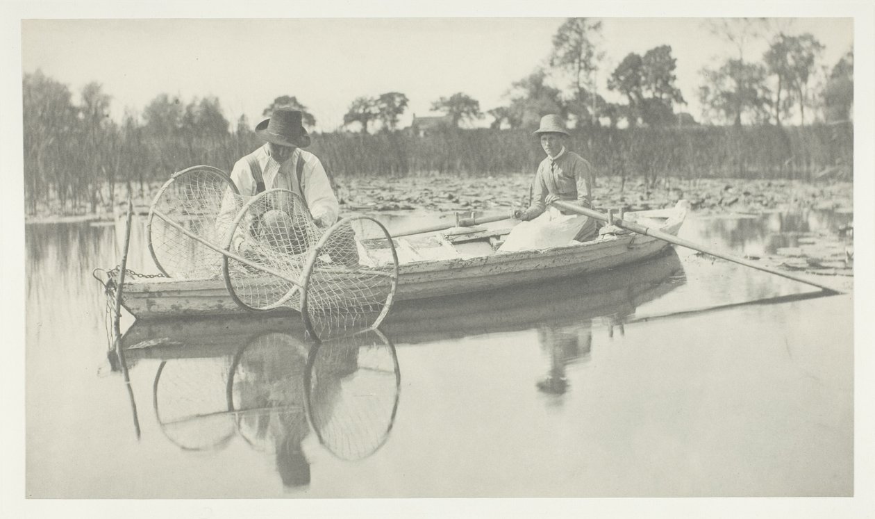 Indstilling af bue-nettet af Peter Henry Emerson