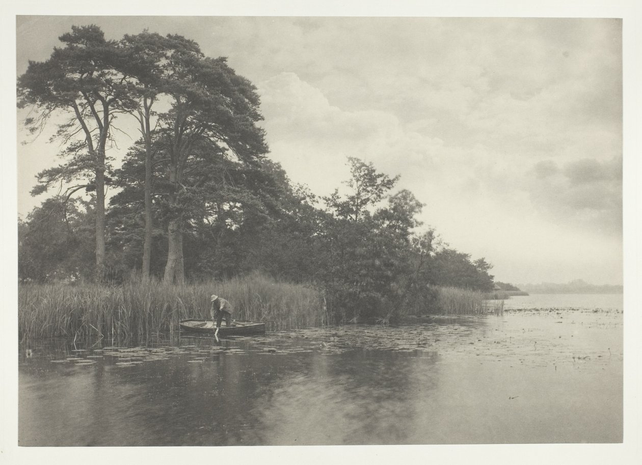 Geddens tilholdssted af Peter Henry Emerson