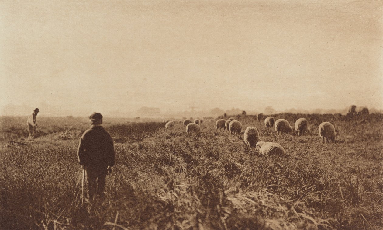 Marsken i juni af Peter Henry Emerson