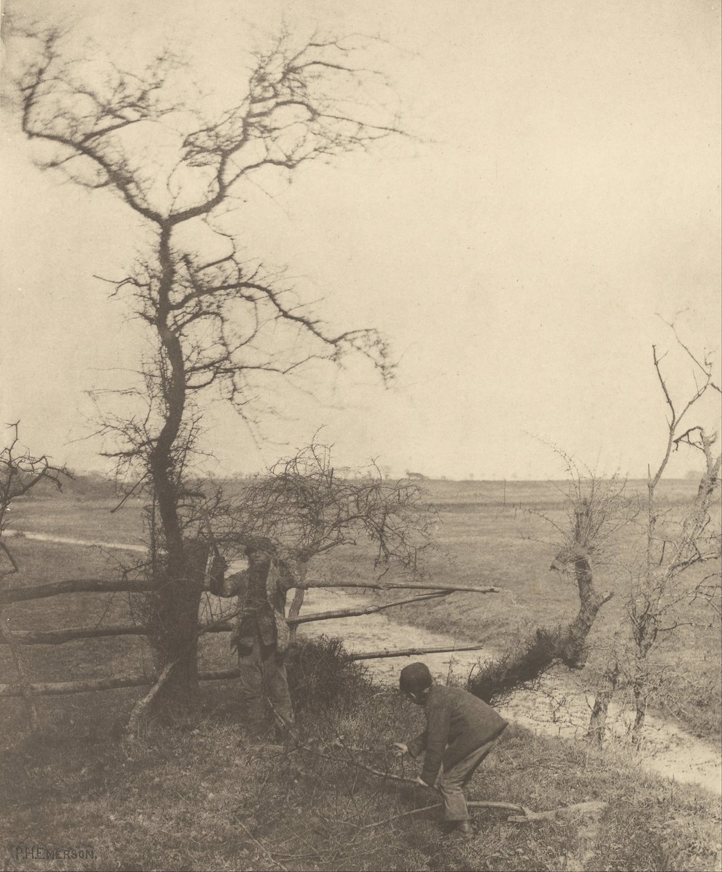 Kvisteskærerne af Peter Henry Emerson