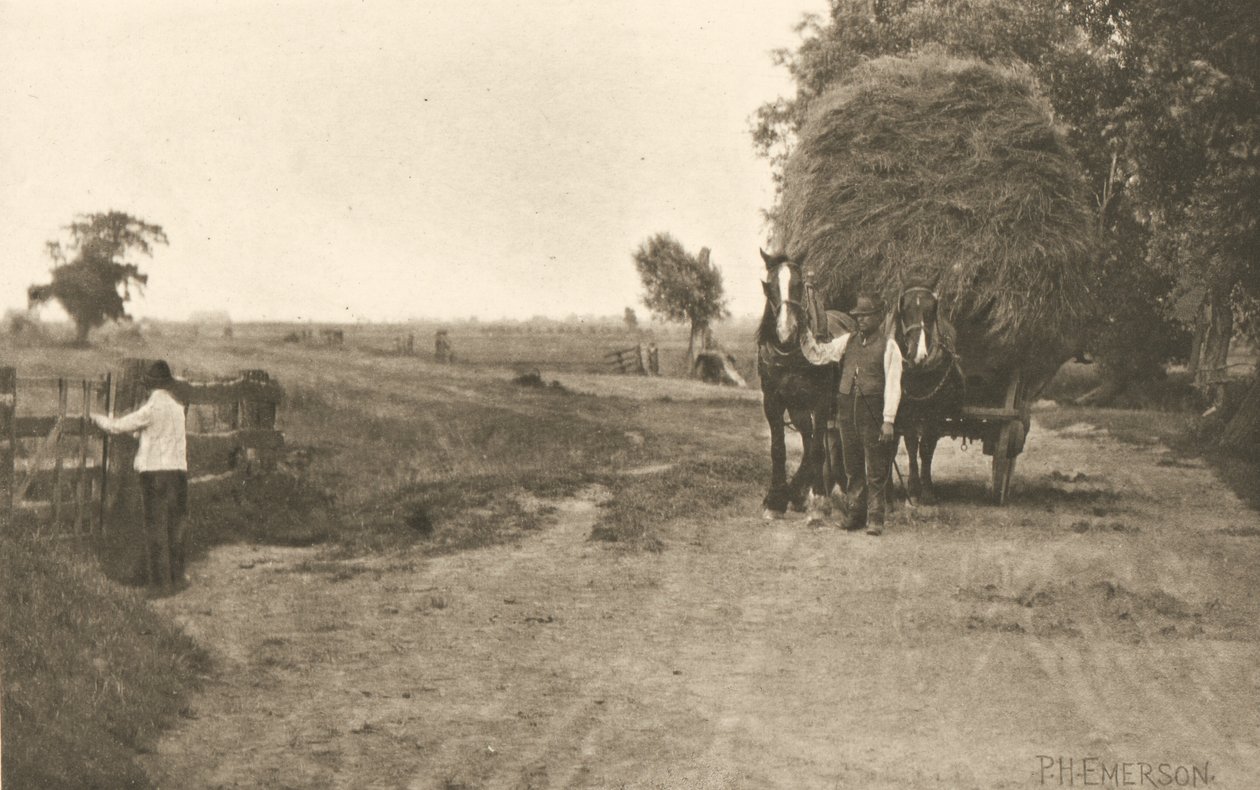 Sumpområdets rigdom af Peter Henry Emerson