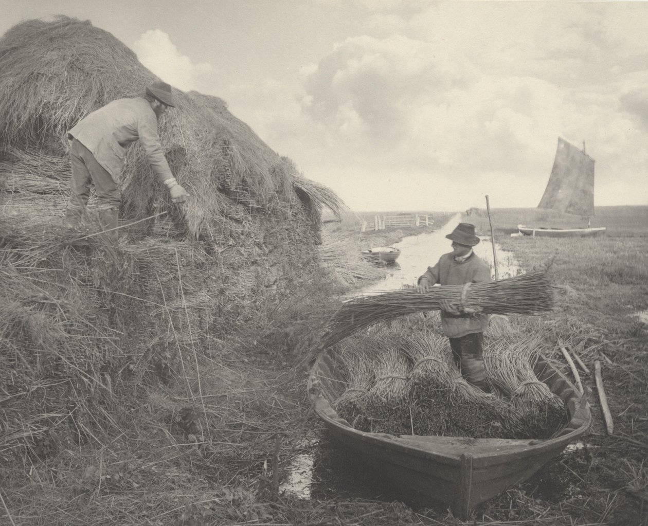 Ricking the Reed af Peter Henry Emerson and T.F. Goodall