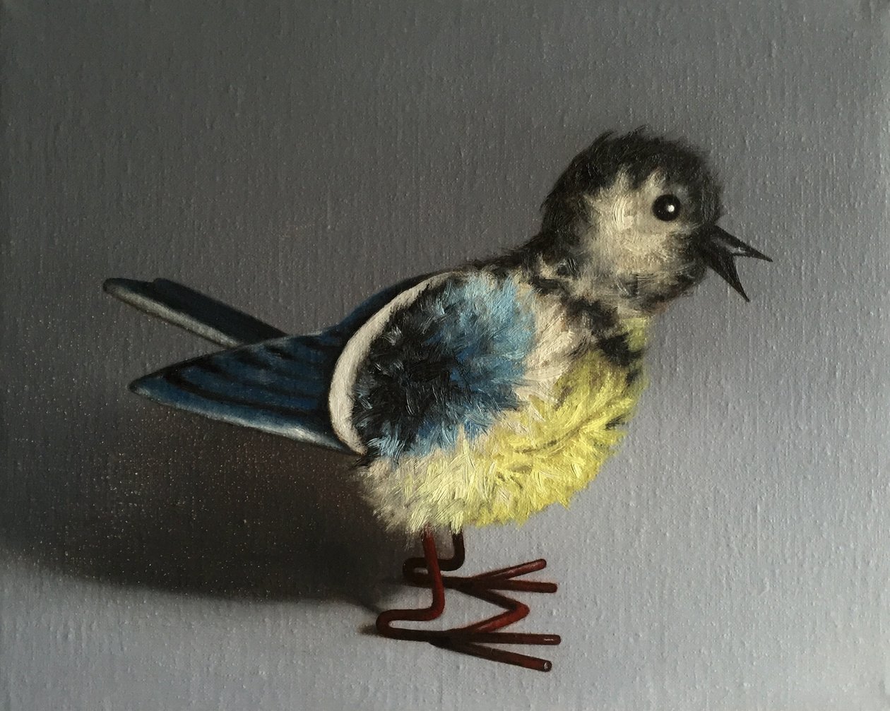 Blåmejse, 2016 af Peter Jones