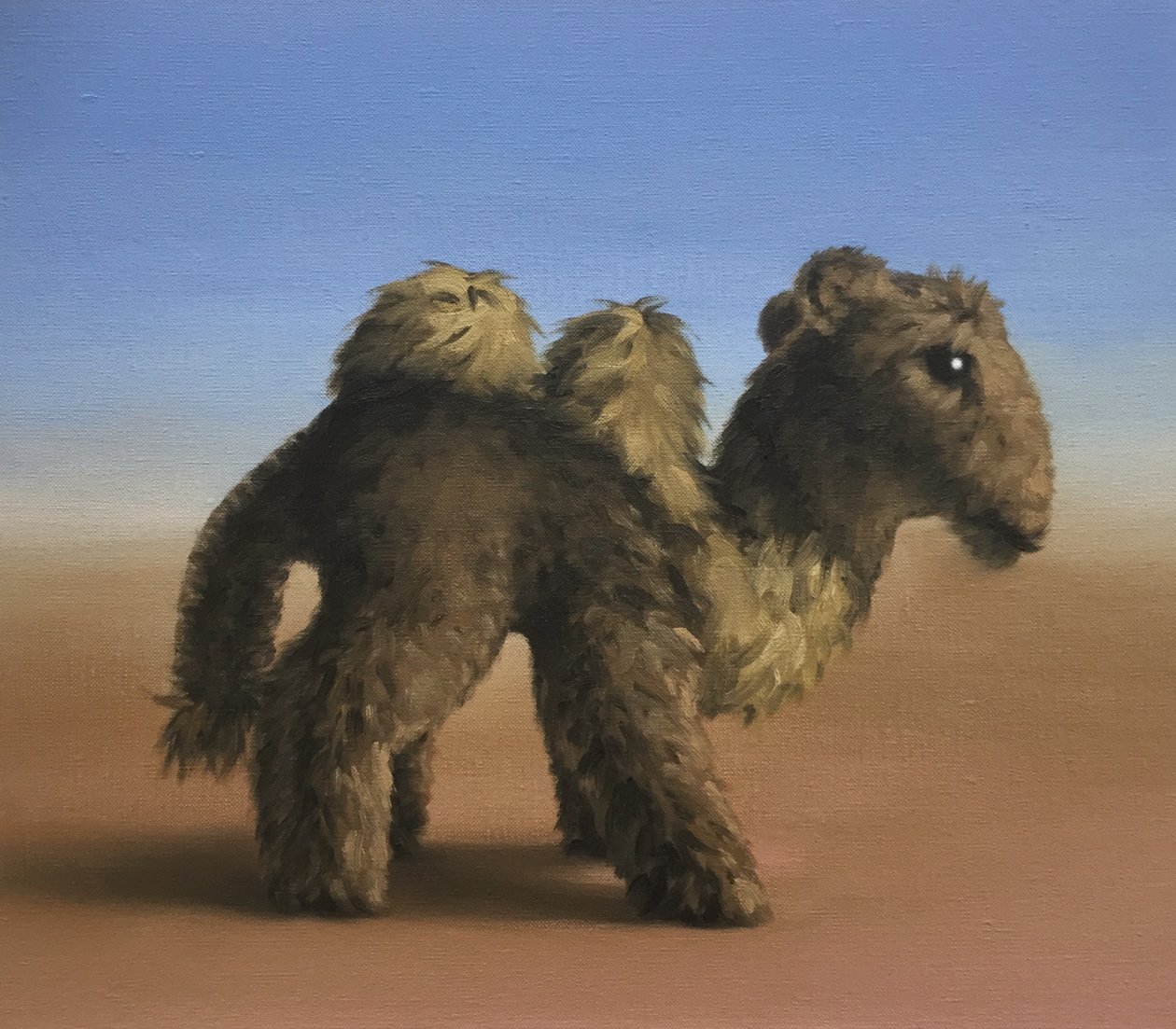 Kamel, 2017 af Peter Jones