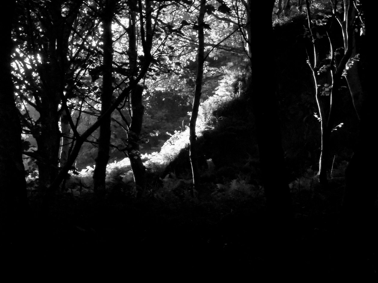 KINTYRE... PLUS. 17 af Peter McClure