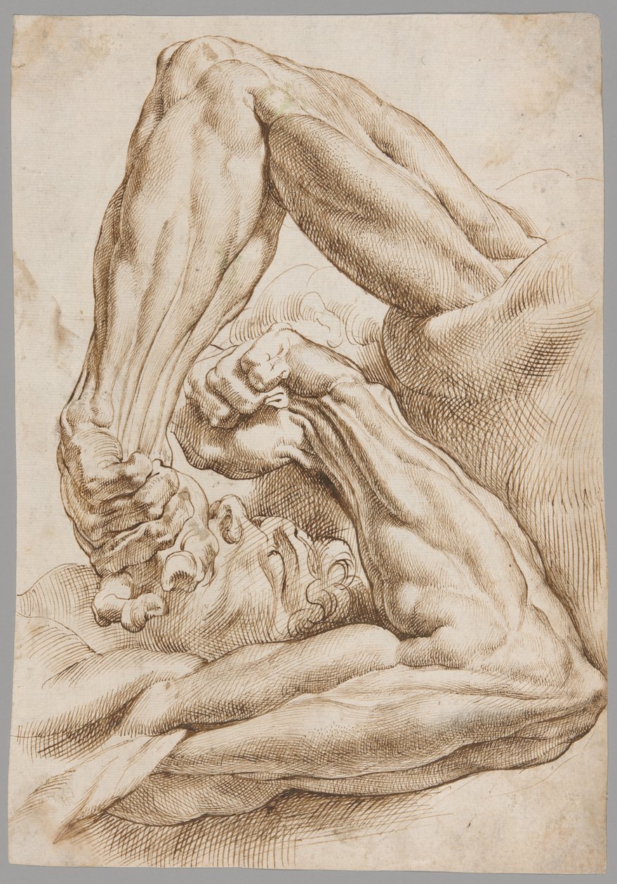 Et ark med anatomiske studier af Peter Paul Rubens