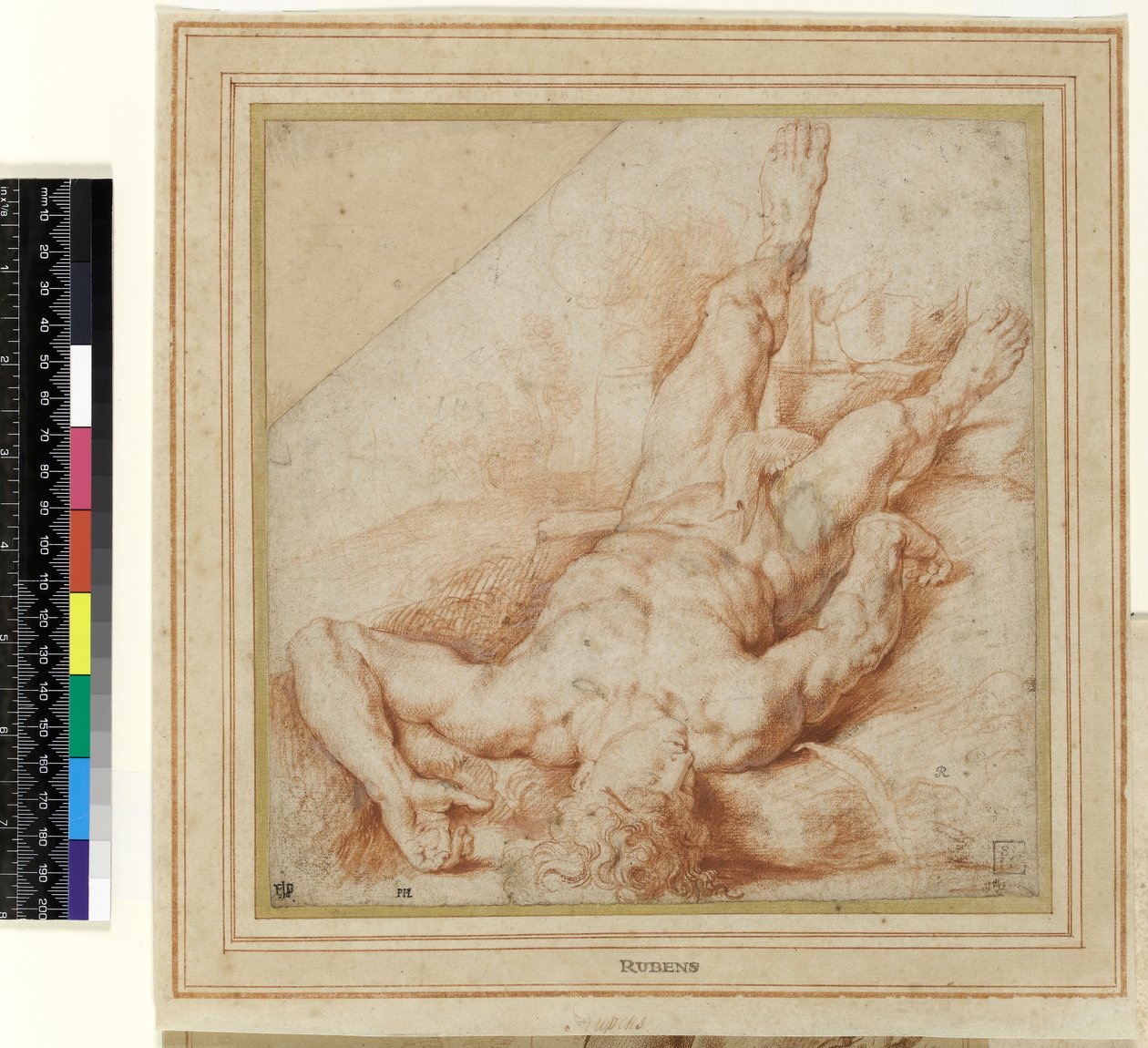 Abel Slain af Kain (tegning) af Peter Paul Rubens