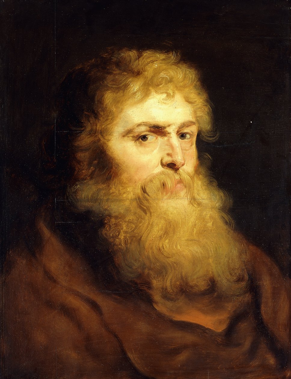 Hovedet af en skægget mand, af Peter Paul Rubens