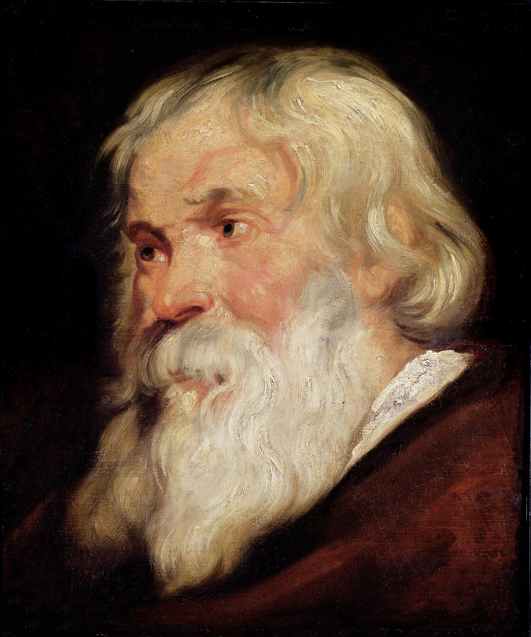 Hoved af en gammel mand af Peter Paul Rubens