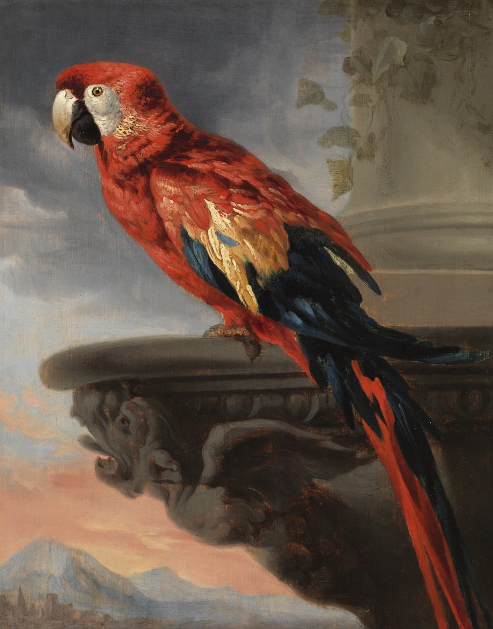 Papegøje, ca. 1630-40 af Peter Paul Rubens