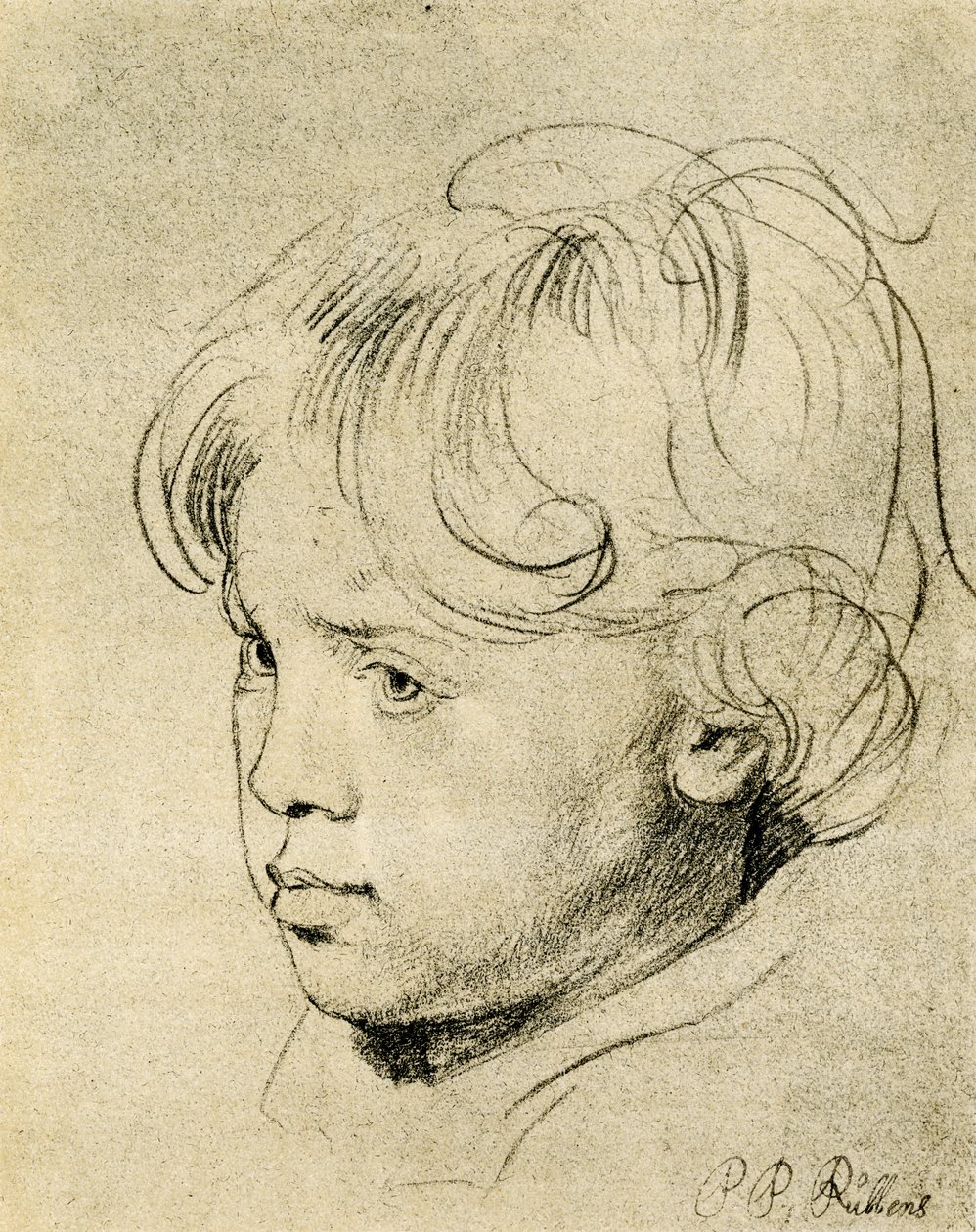 Rubens søn Niklas af Peter Paul Rubens
