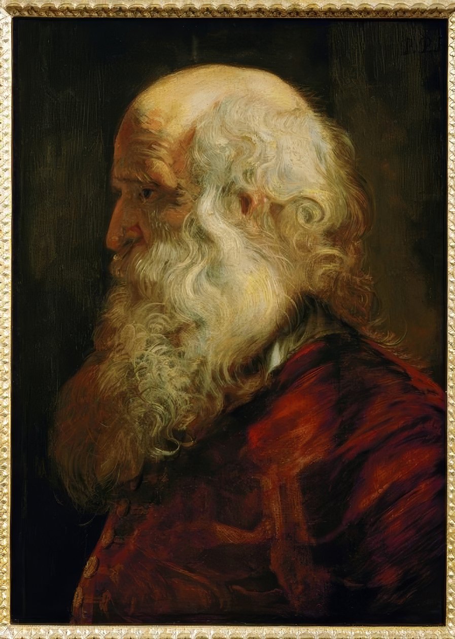 Undersøgelse af en gammel mands hoved af Peter Paul Rubens