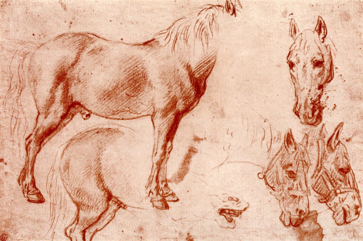 Studier af heste, 1913. af Peter Paul Rubens