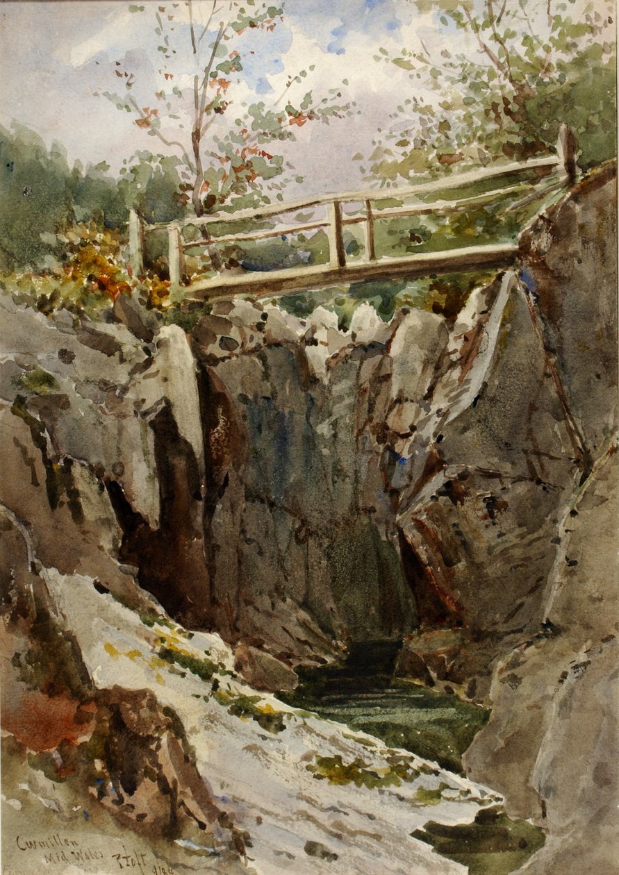 Curmillon, Midt-Wales, 1884. af Peter Toft