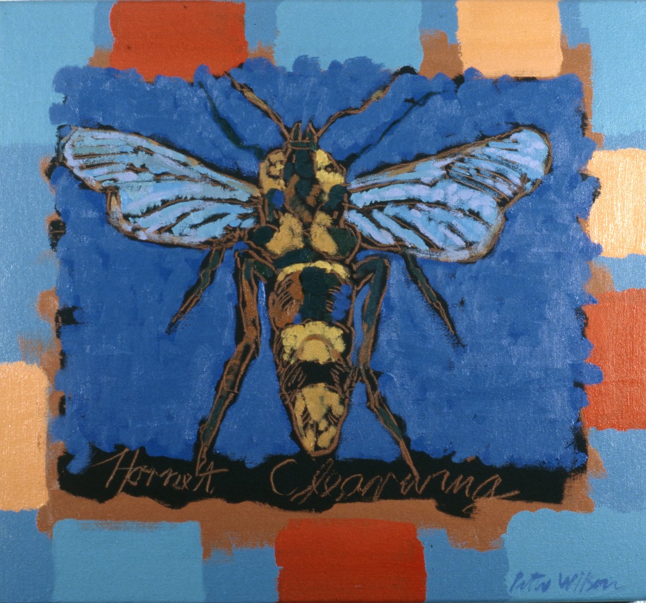 Hornet Clearwing af Peter Wilson