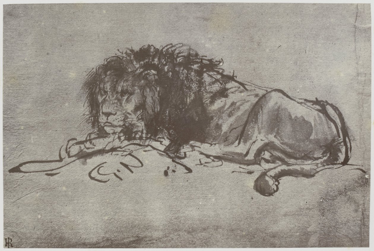 Rembrandt, en løve af Philip Henry Delamotte