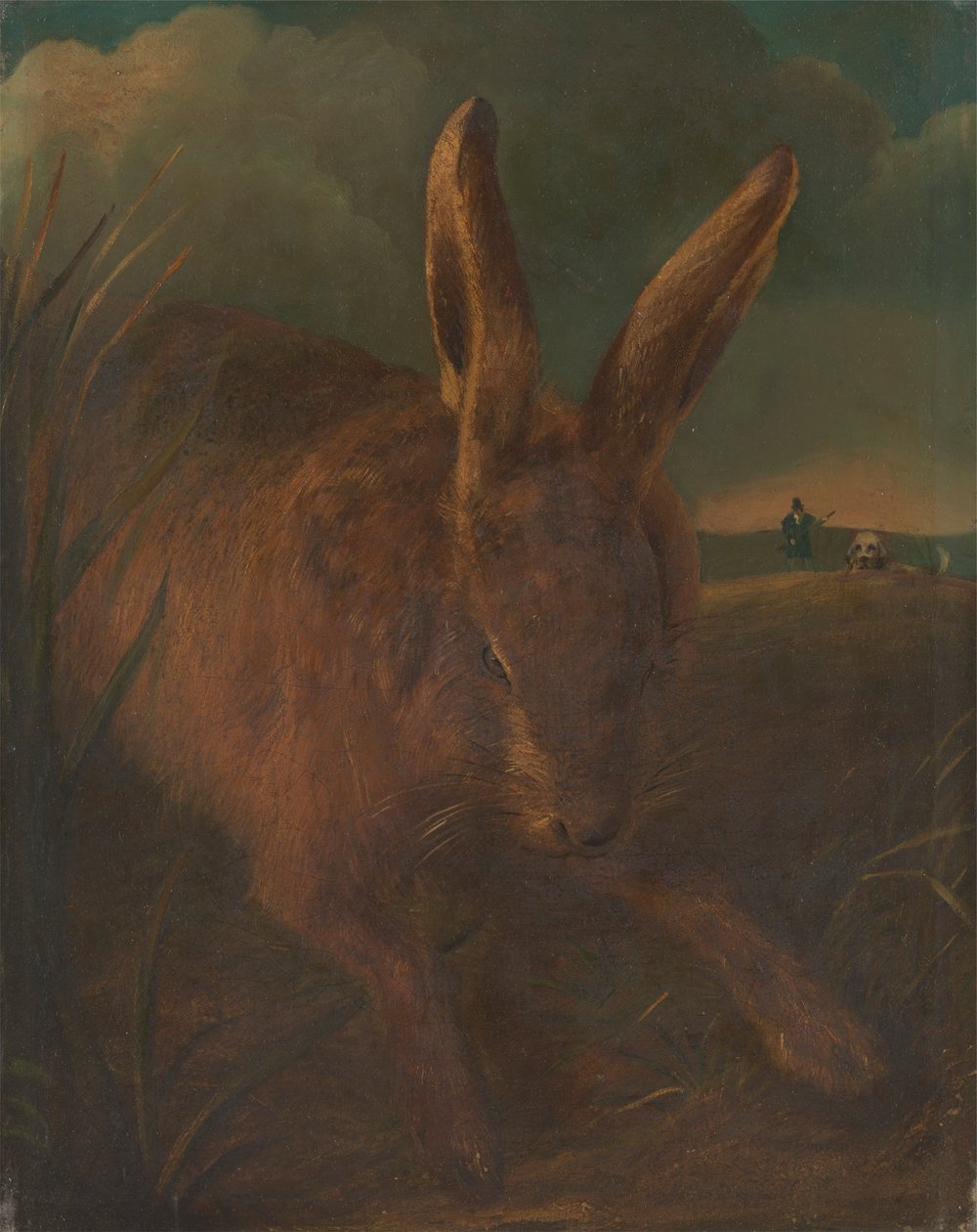 Harekurs af Philip Reinagle