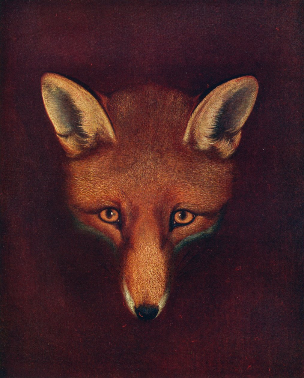 Renard the Fox, c1800, 1922 af Philip Reinagle