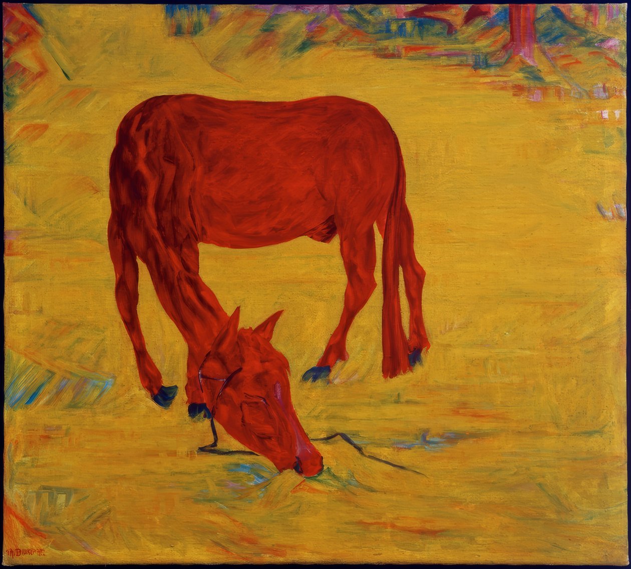 Hest i frihed af Philipp Bauknecht