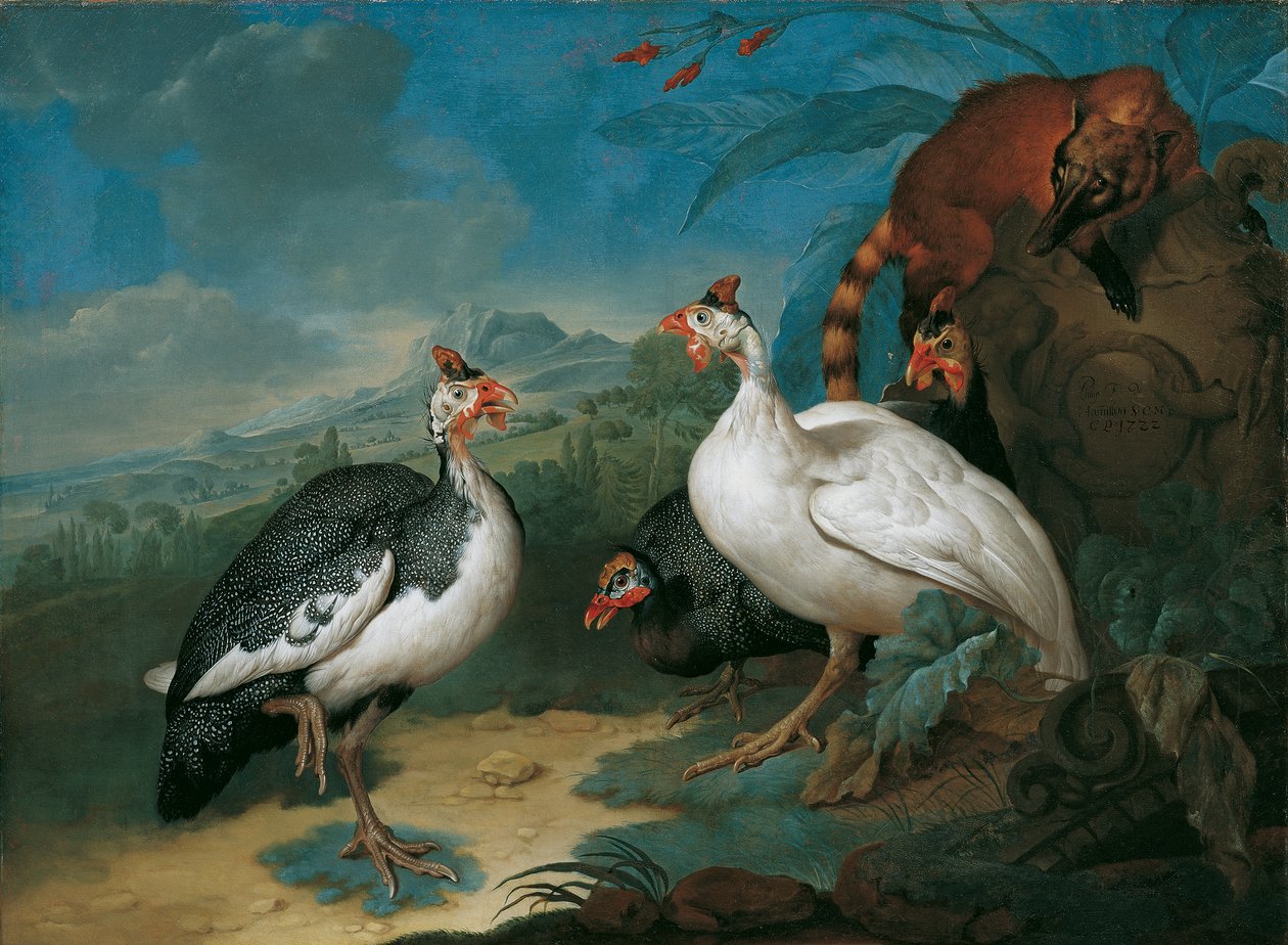 Perlehøns og Coati af Philipp Ferdinand de Hamilton