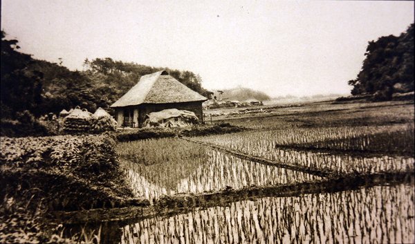 Rismarker i Japan af Photographer Japanese