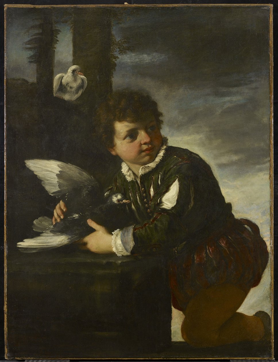Dreng med en due, ca. 1650-55 af Pier Francesco Mola