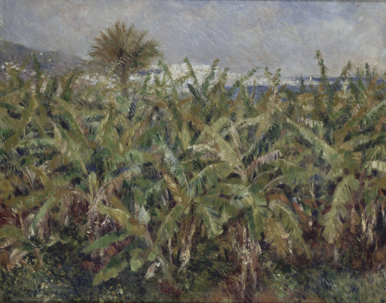 Mark af banantræer af Pierre Auguste Renoir