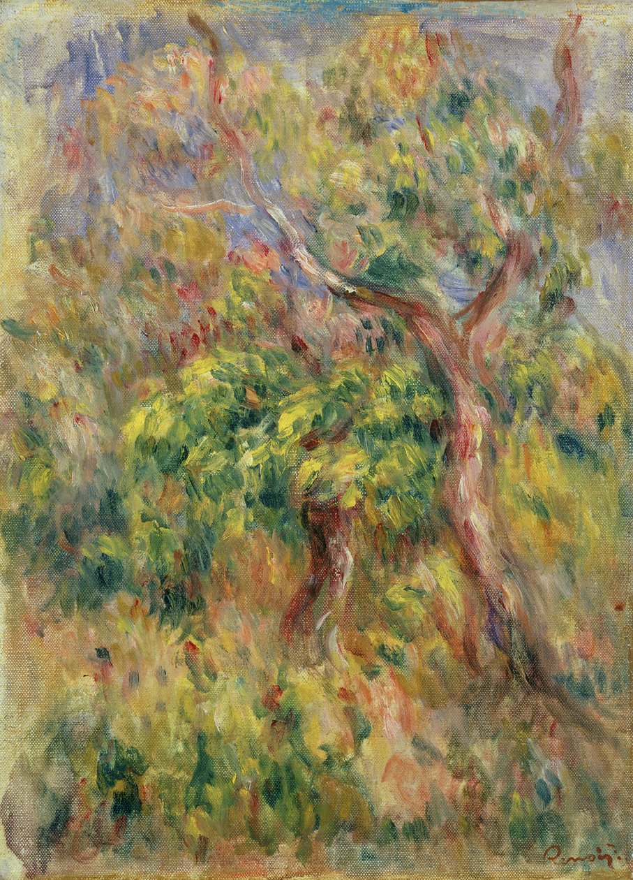 Træer, 1915-16 af Pierre Auguste Renoir