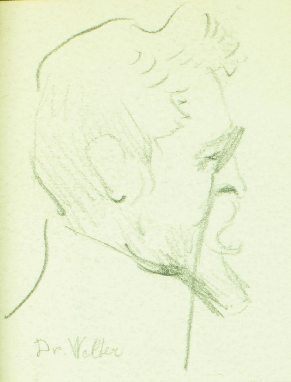 Dr. Welter af Pierre Blanc