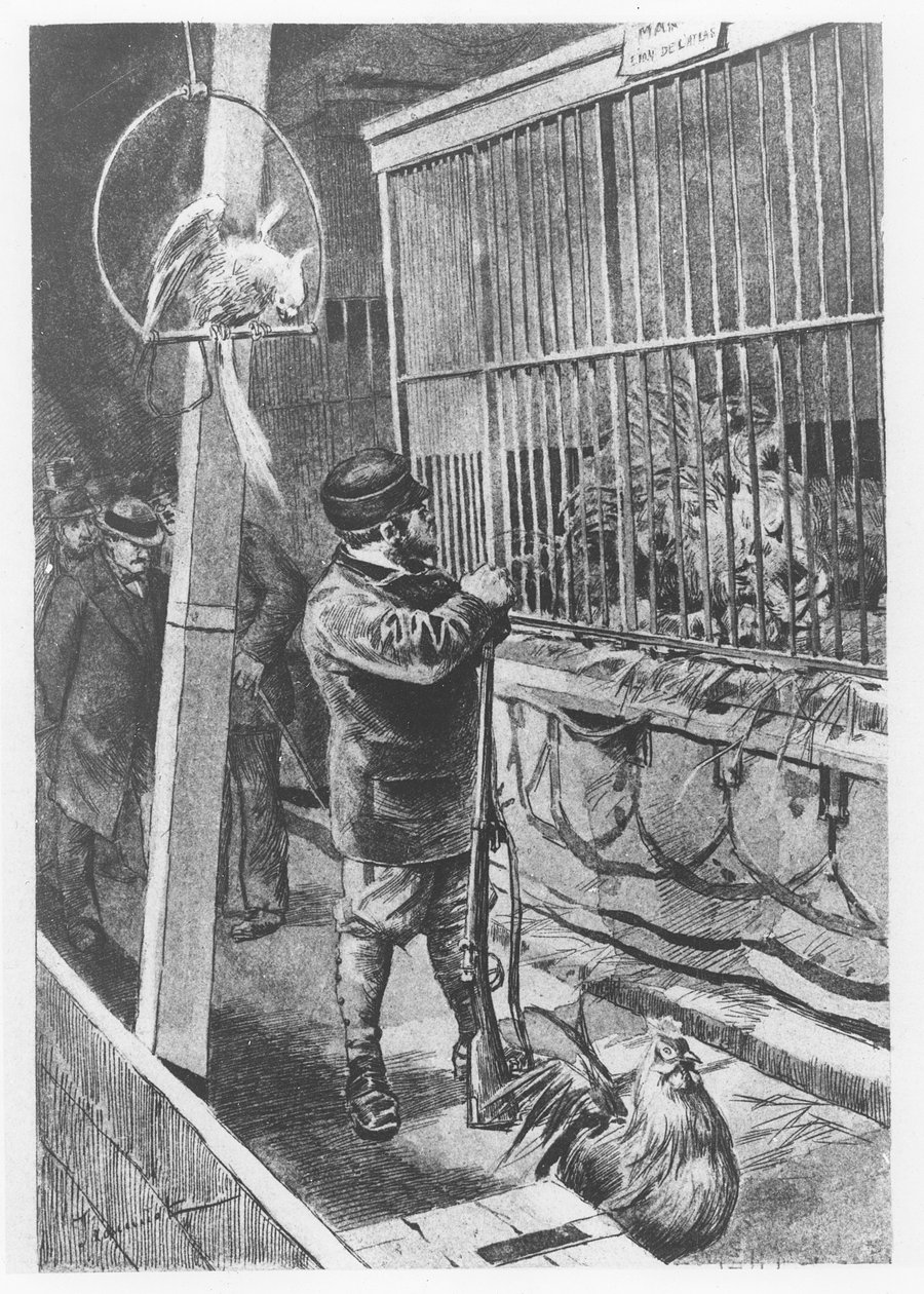 Illustration fra "Tartarin de Tarascon", af Alphonse Daudet af Pierre Georges Jeanniot