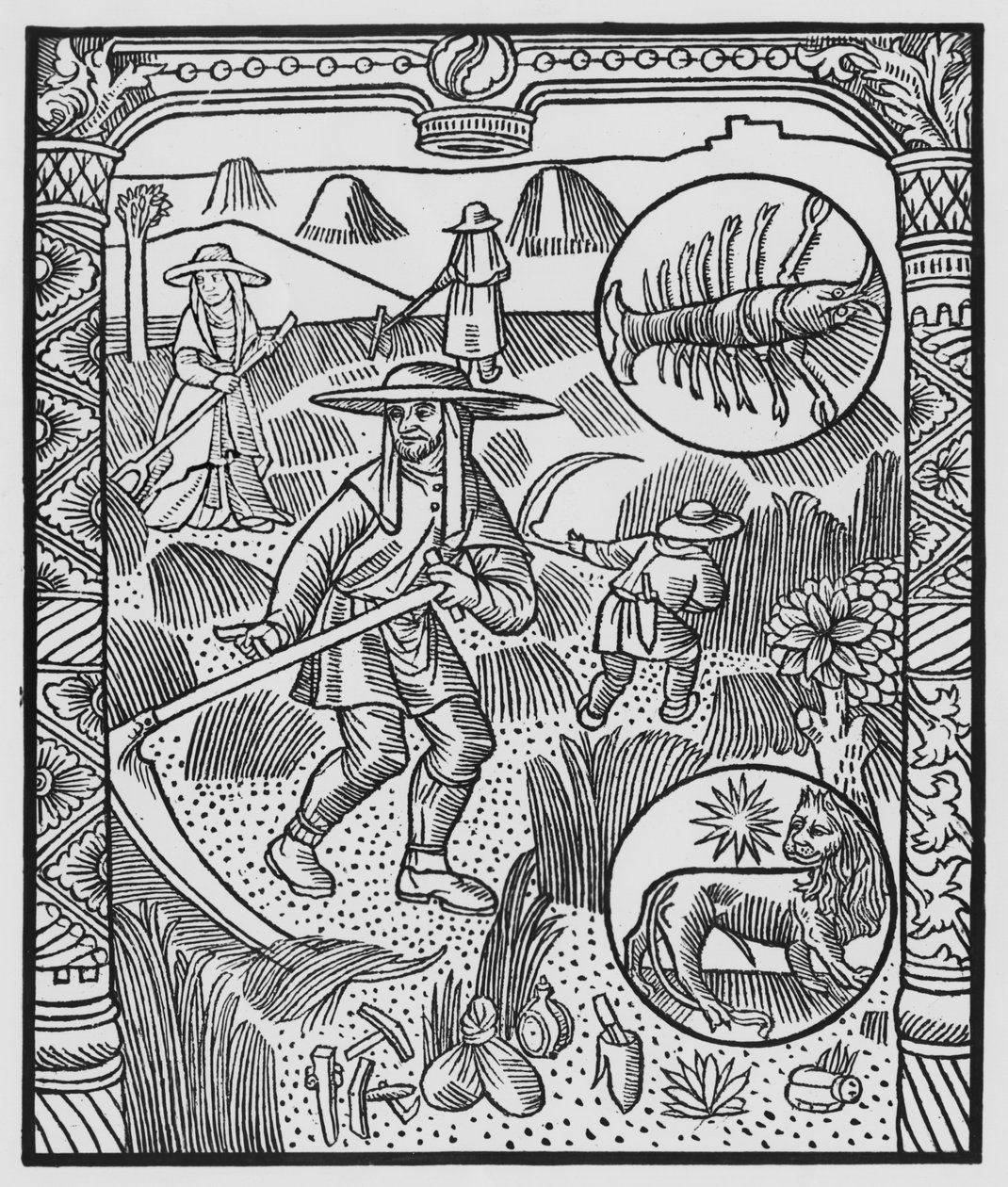 Juli, høslæt, kræft, illustration fra "Almanach des Bergers", 1491 (xylografi) af Pierre Le Rouge